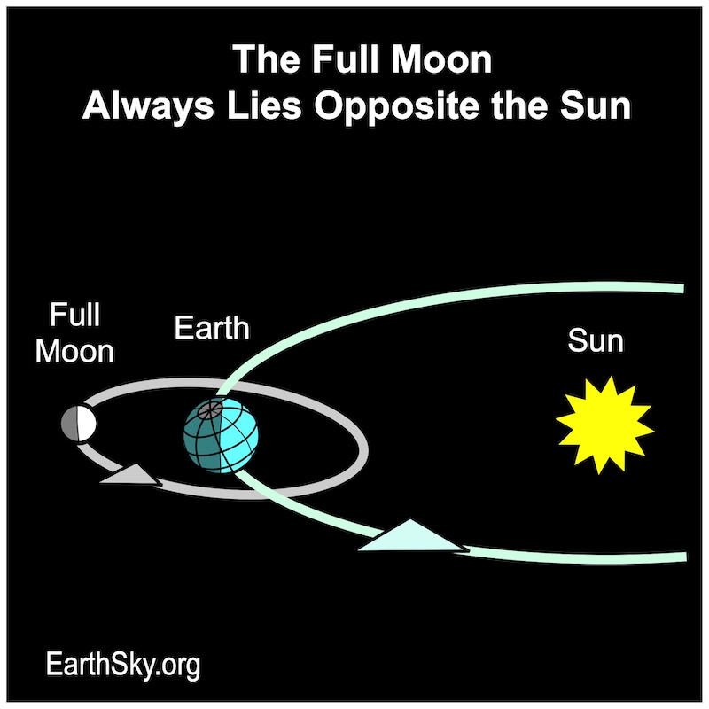 December full moon: Diagram showing the full moon lies opposite the sun.