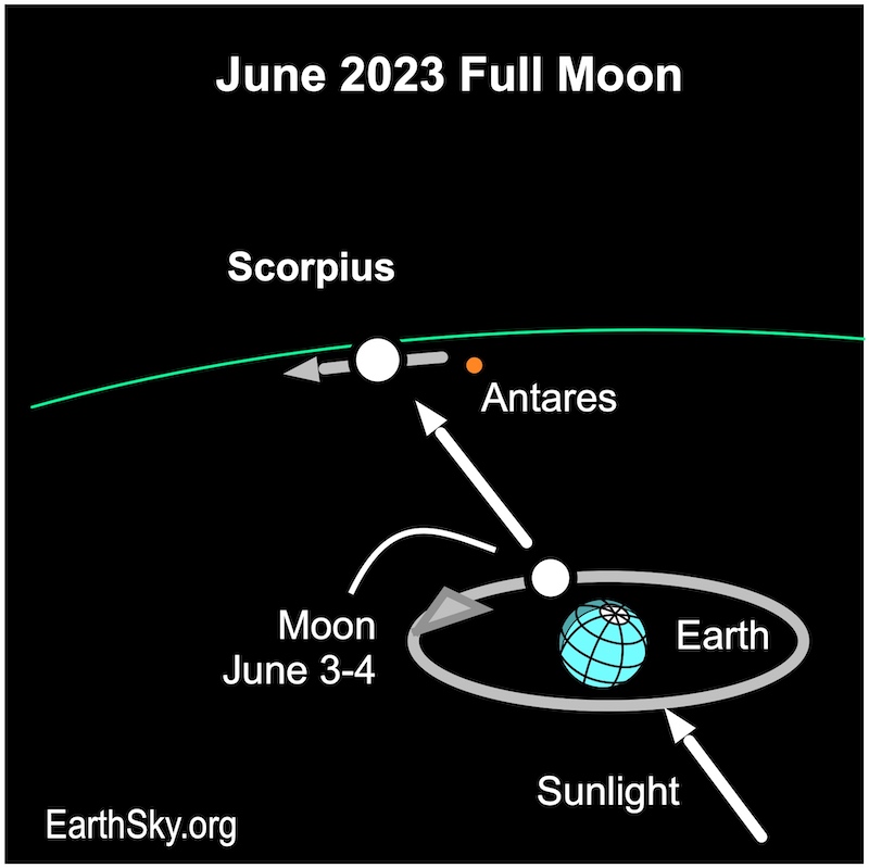 Diagram: Earth, with arrow from full moon's place in orbit to where it appears in the zodiac.