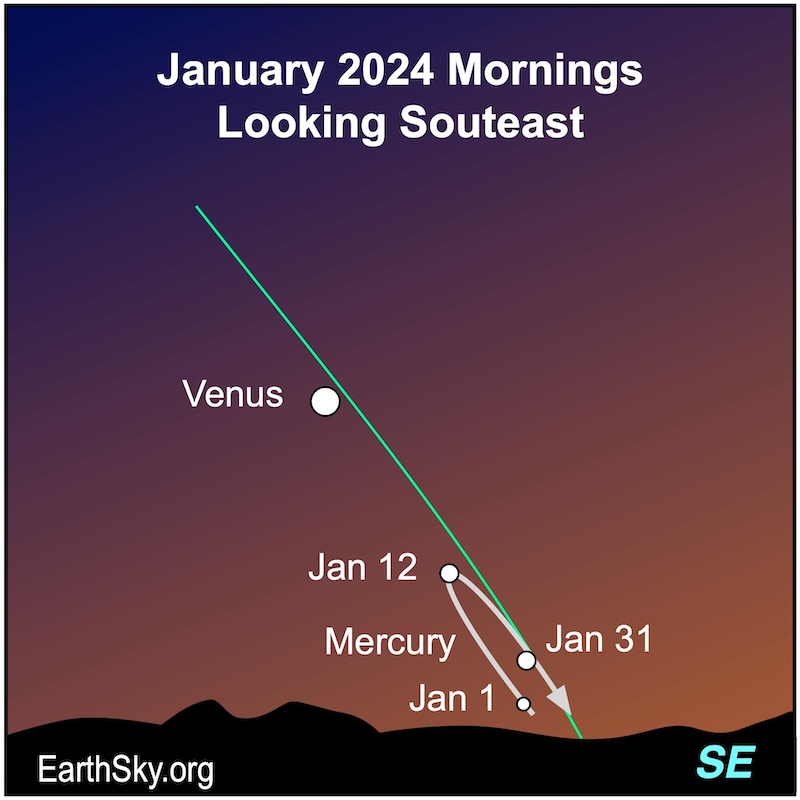 White dots for Mercury and Venus in January for viewers in Southern Hemisphere.