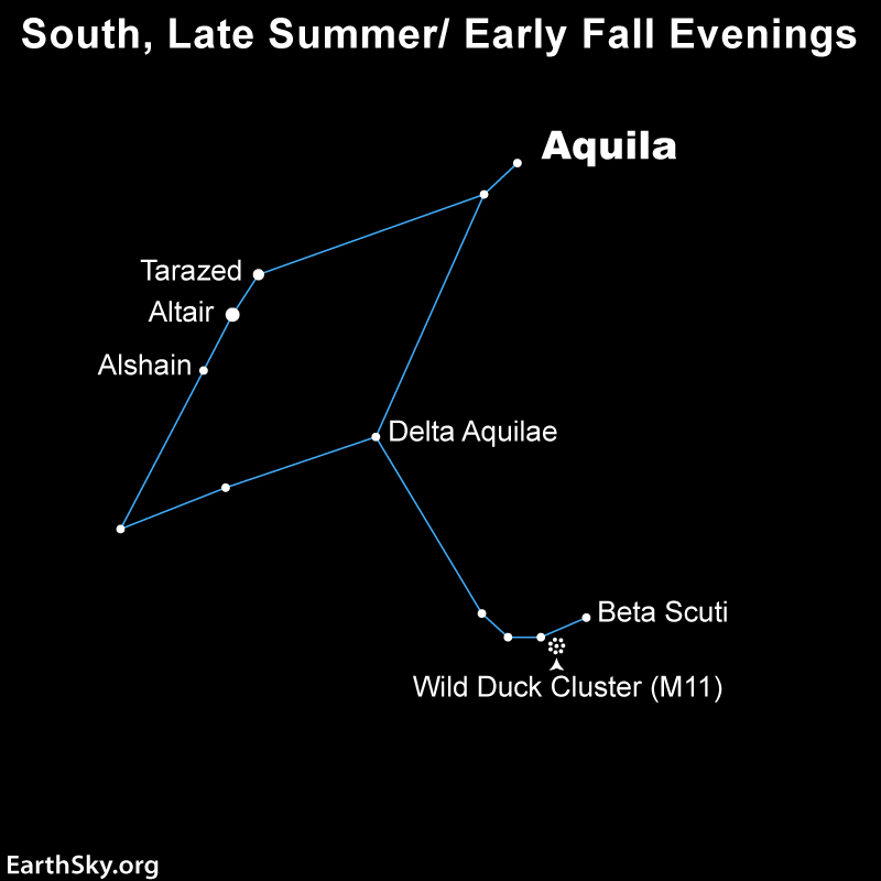 Star chart showing a diamond-shaped constellation with labeled stars and small bunch of dots for cluster.