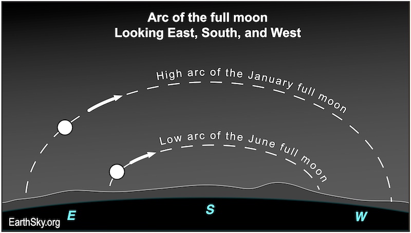 Diagram: Two parallel dashed-line arcs, one high, one low, labeled January and June.