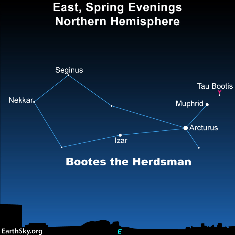 Star chart showing an elongated kite shape on its side with labeled stars.