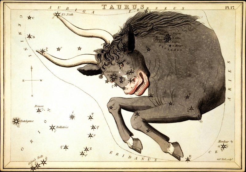 Antique etching of front half of a bull superimposed over a star chart.