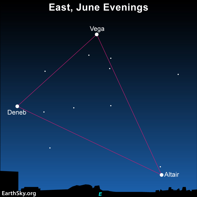 Summer triangle of magenta lines in star chart, with corners labeled with star names.