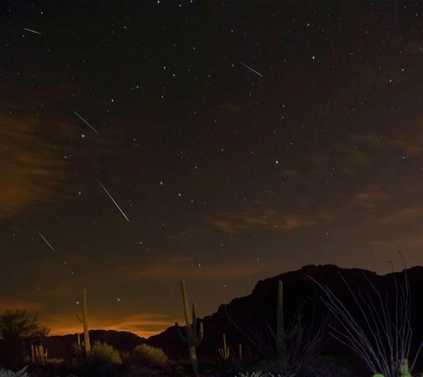 Several meteor trails over a desert landscape with tall cacti.