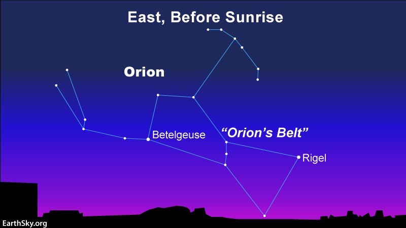 Star chart showing Orion the Hunter with light purple glow near the horizon.