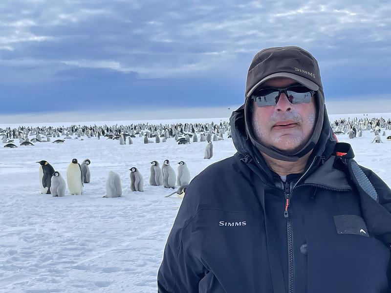 Man with sunglasses and a beard in the foreground. There are adult penguins and chicks at the background.