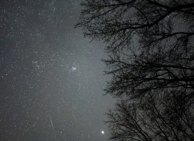 Grey, starry sky with a denser area of stars in the middle. There is a white, short streak at the bottom, a bright dot to the right of the streak, and tree branches covering the right side of the image.