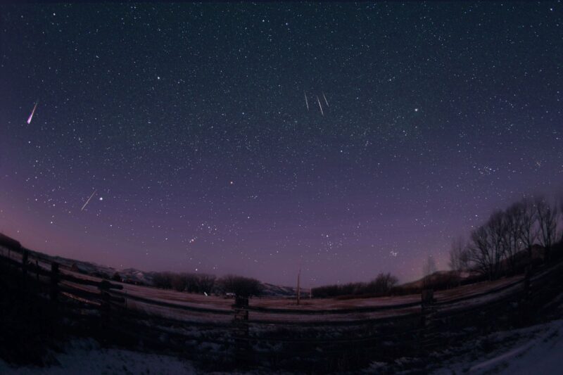 Pink and purple starry sky with pinkish, short streaks. There are trees in the foreground.