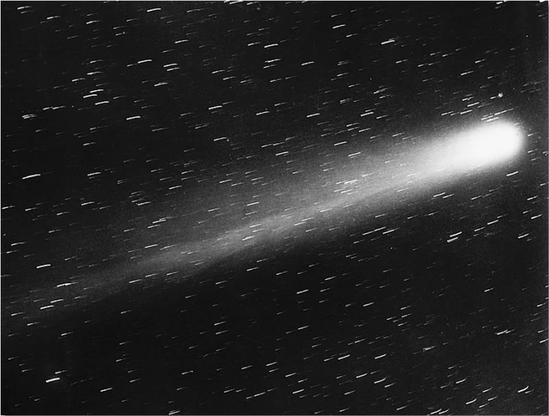 Comet Halley: Long streak with bright rounded end and straight fuzzy tail, on star field.