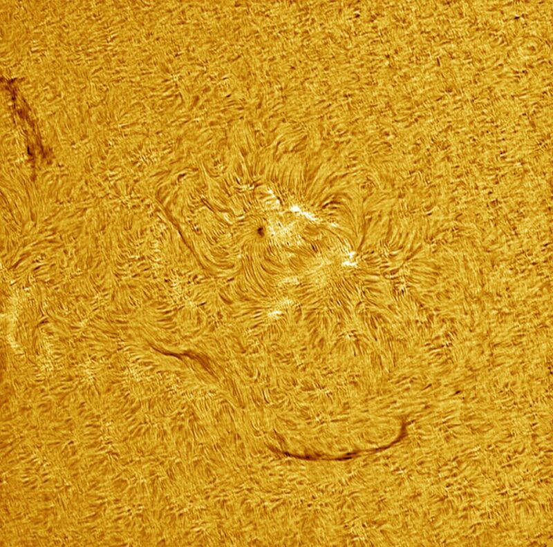 A sun close-up, seen as a yellow surface with a mottled surface.