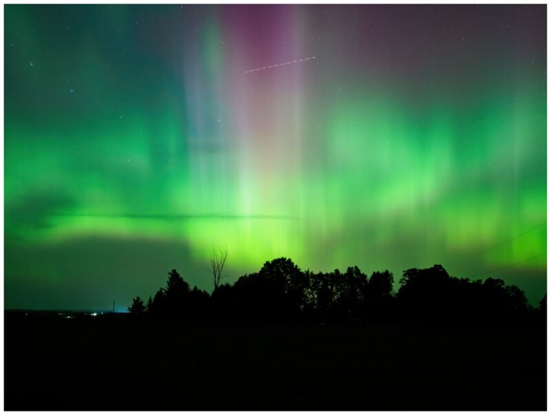 Aurora season: Aurora shown as green, red and blue streamers going up in the dark sky above a silhouetted forest.