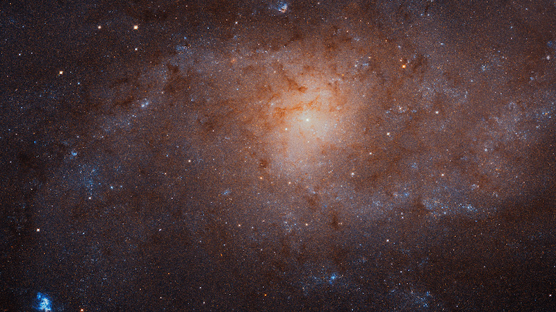 Densely starry oval with spiral arms in star field.