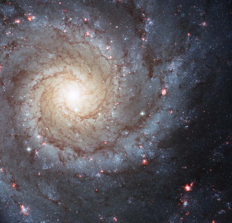Closeup of very bright large spiral galaxy with many small pink splotches.
