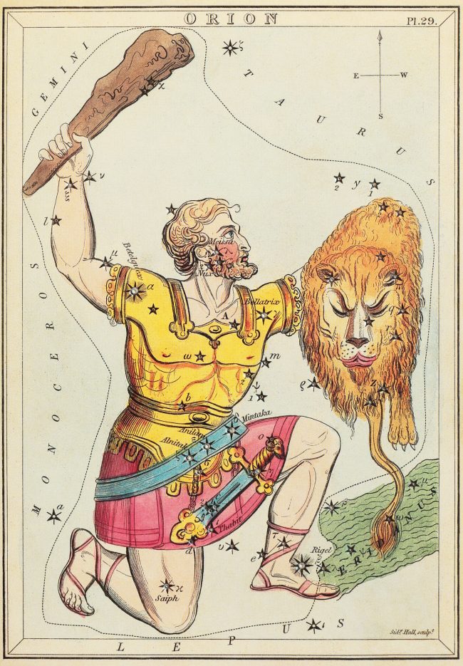 Antique colored etching of a man with a raised club holding a dead lion on his other arm.