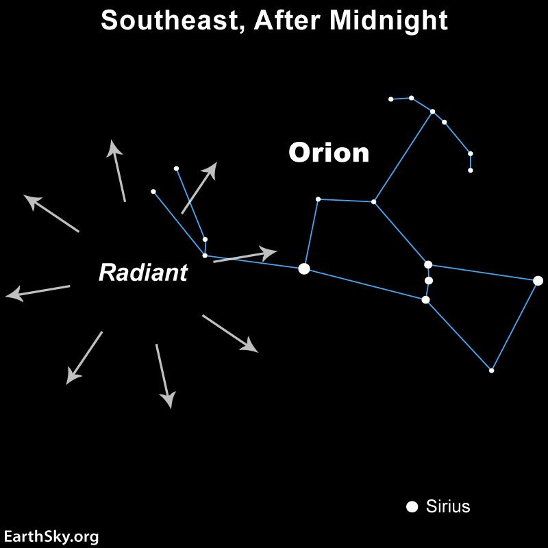 Chart with dots for constellation Orion and a circle of arrows showing the radient of the Orionid meteor shower.